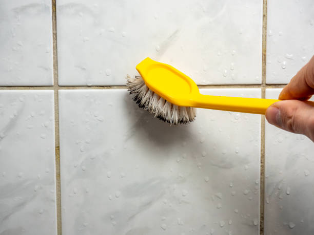 Best Toxic Mold Removal  in North Canton, OH