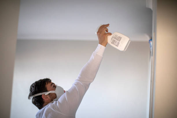 Crawl Space Mold Removal in North Canton, OH