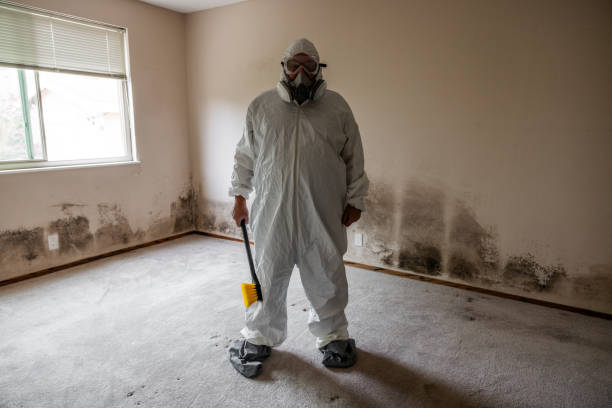 Mold Removal and Inspection in North Canton, OH